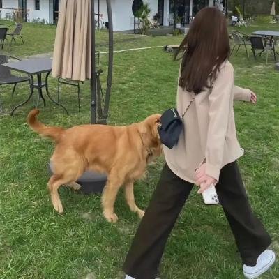 胡同交响曲